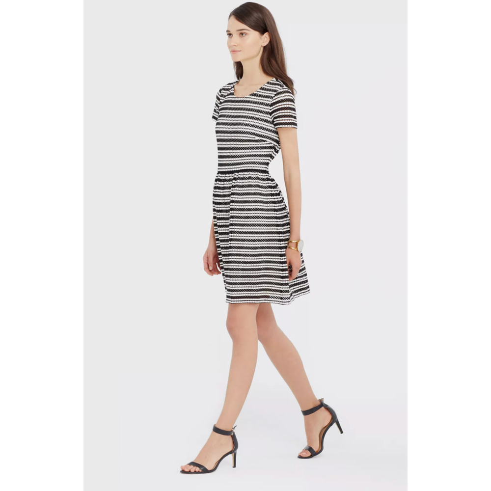 Ann Taylor 10 Cotton Eyelet Dress $149 Short Sleeve Fit & Flare Black Striped - Picture 3 of 9